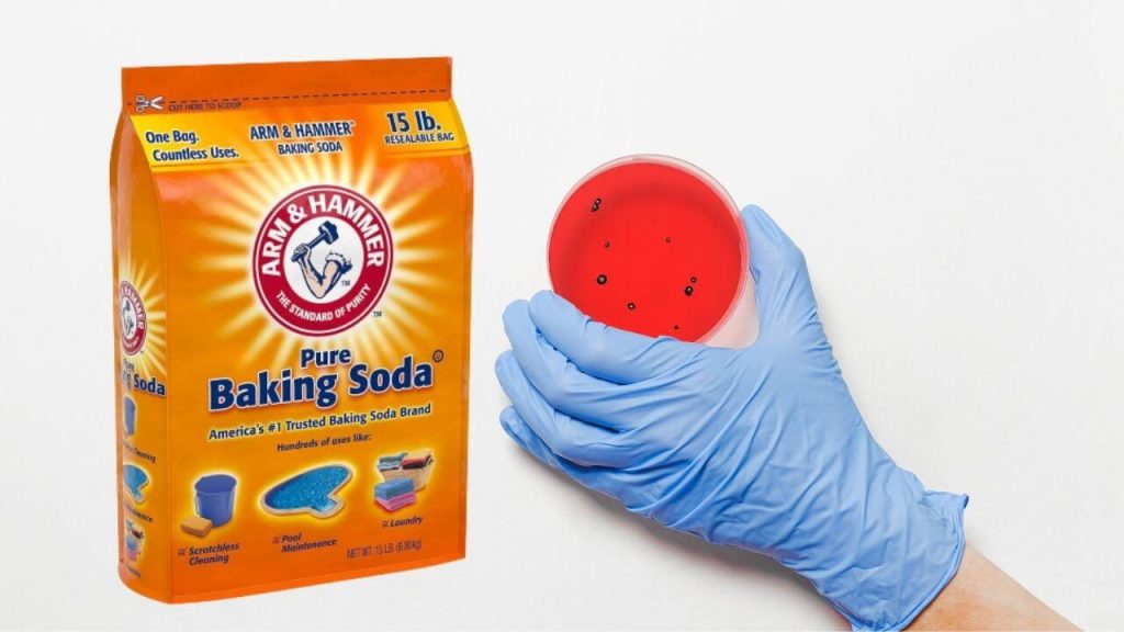 Does Baking Soda Kill Bacteria?